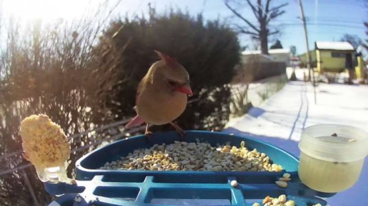 WhatsApp Image 2026-02-07 at 13.46.25 (2).jpeg