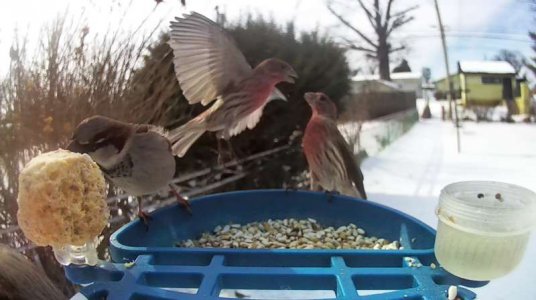 WhatsApp Image 2026-02-07 at 13.46.25.jpeg