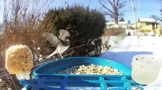 WhatsApp Image 2026-02-07 at 13.46.25 (1).jpeg