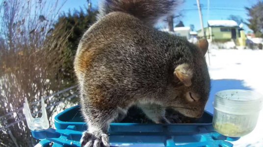 WhatsApp Image 2026-02-01 at 15.00.36 (4).jpeg