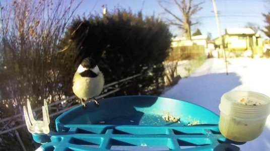 WhatsApp Image 2026-02-08 at 10.49.20.jpeg