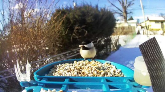 WhatsApp Image 2026-02-08 at 10.49.20 (1).jpeg