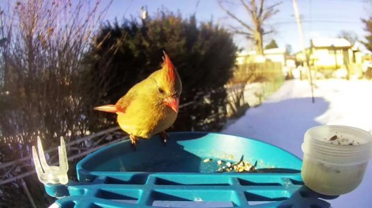 WhatsApp Image 2026-02-08 at 10.49.20 (2).jpeg