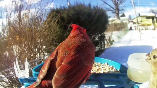 WhatsApp Image 2026-02-08 at 12.07.27 (2).jpeg