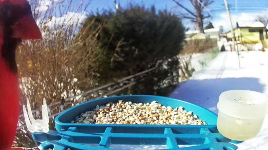 WhatsApp Image 2026-02-08 at 12.07.27 (1).jpeg