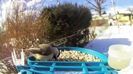 WhatsApp Image 2026-02-08 at 12.07.27.jpeg