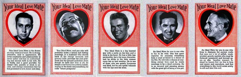 idealmateA.jpg