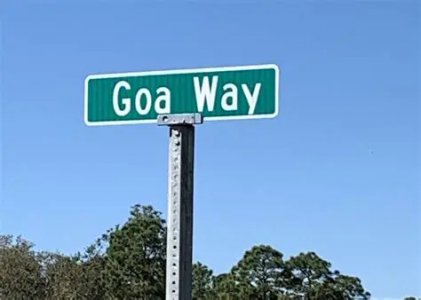 goa2.jpg