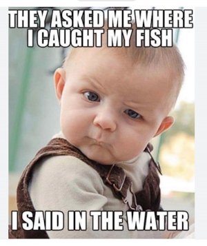 Screen Shot 2026-02-09 at 7.37.41 PM.jpg