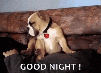 goodnight pug.gif