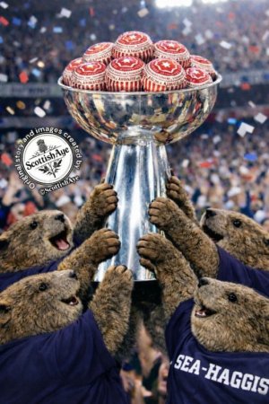 IMG_1641.jpeg IMG_1641.jpeg