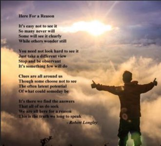 forAreasonpoem.JPG