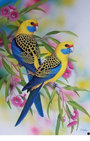 yellow-andbluebrids.jpg