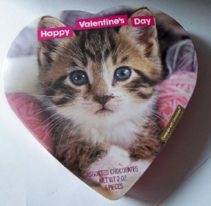 kitten valentine.jpg