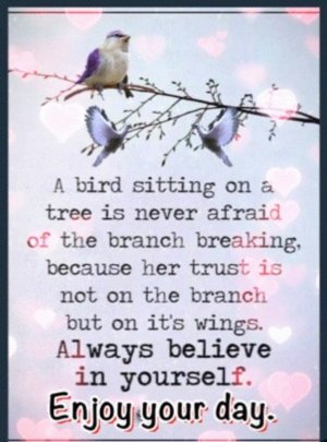 IMG_20260213_065504.jpg IMG_20260213_065504.jpg