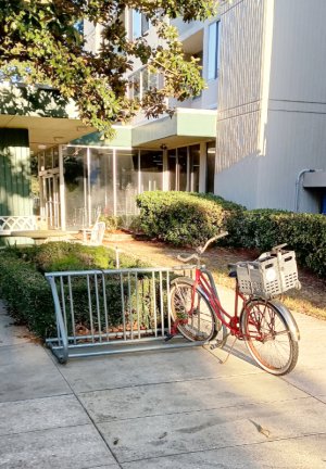 Bicycle Rack.jpg