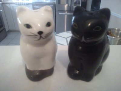 IMG_20260214_212409 (2).jpg