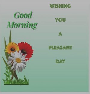 Good Mornimg pleasabt.jpg