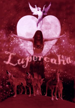 1771180738784.jpeg 1771180738784.jpeg