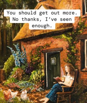 seen-enuff.JPG seen-enuff.JPG