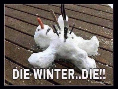die winter.jpg