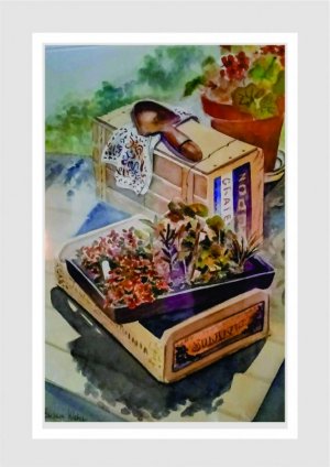 Garden Boxes.jpg Garden Boxes.jpg