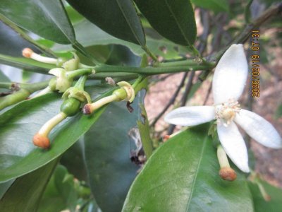 IMG_6193.JPG IMG_6193.JPG