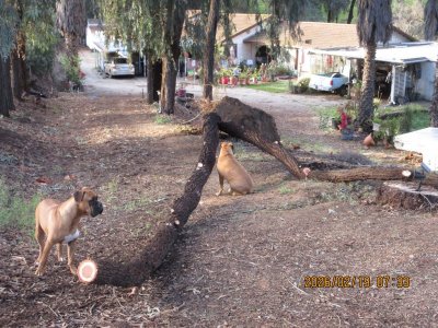 IMG_6198.JPG IMG_6198.JPG