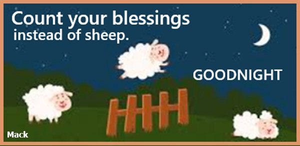 night 08 26 25 and 02 19 26.jpg