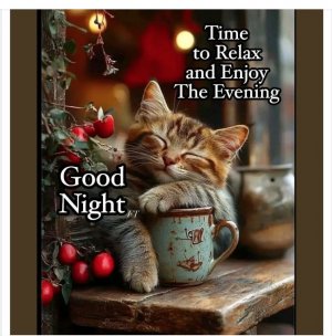 Screen Shot 2026-02-19 at 6.53.03 PM.jpg