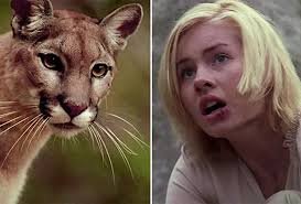 download (3).jpg download (3).jpg