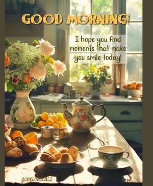 Screen Shot 2025-05-06 at 1.33.18 PM Large.jpeg