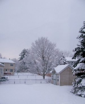 snow Feb 21 2026a.jpg