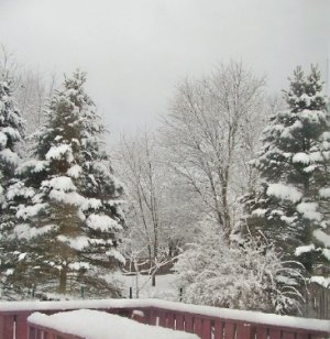 snow Feb 21 2026c.jpg