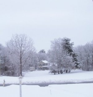 snow Feb 21 2026d.jpg