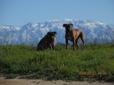 IMG_6290.JPG IMG_6290.JPG