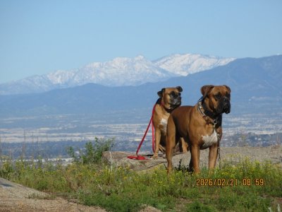 IMG_6281.JPG IMG_6281.JPG