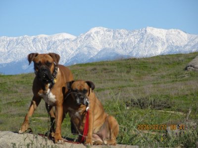 IMG_6269.JPG IMG_6269.JPG