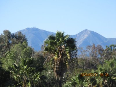 IMG_6255.JPG IMG_6255.JPG