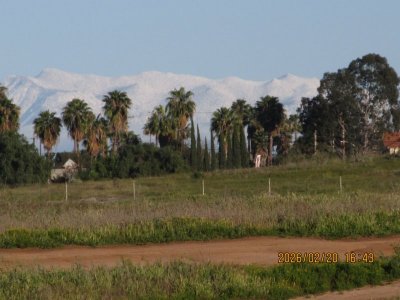 IMG_6234.JPG IMG_6234.JPG