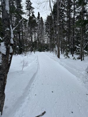 IMG_2464.jpeg IMG_2464.jpeg