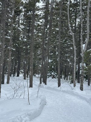 IMG_2463.jpeg IMG_2463.jpeg