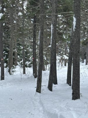 IMG_2465.jpeg IMG_2465.jpeg