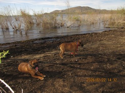 IMG_6363.JPG IMG_6363.JPG