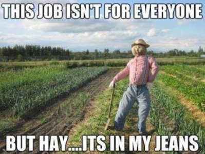 hay.jpg