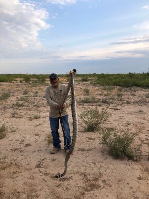 17-Aug-20 Big Rattlesnake, 12 Buttons Owl Comp Station[1] 2.jpeg