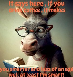 donkeyfunny.jpg
