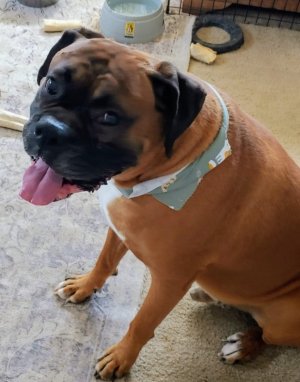 WhatsApp Image 2026-02-24 at 12.17.52.jpeg WhatsApp Image 2026-02-24 at 12.17.52.jpeg