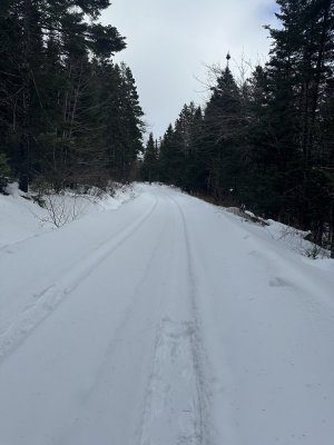 IMG_2478.jpeg IMG_2478.jpeg