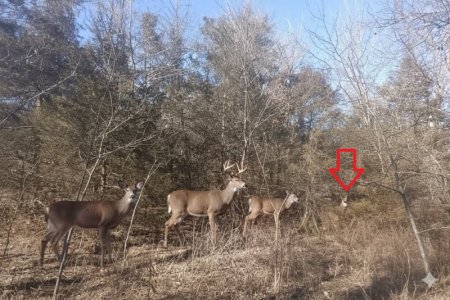 unnamed (4).jpg unnamed (4).jpg